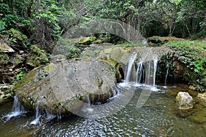 Sierra Rosario Biosphere Reserve, Pinar del Rio photo