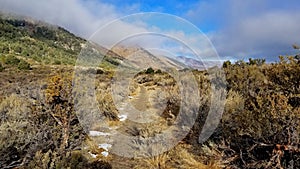 Sierra Trail above Lee Vining California