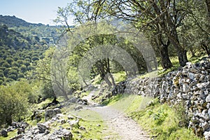 Sierras SubbÃÂ©ticas Natural Park in andalusia photo