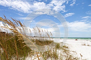 Siesta Key Beach Sarasota Florida photo