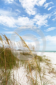 Siesta Key Florida