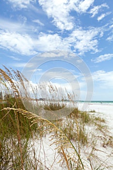 Siesta Key Florida photo