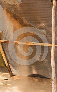 Sieving Sand for construction.