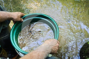 Sift and classify mineral rich soil with gold panning classifier pan.