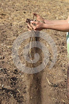 Sifting Dirt in Hands
