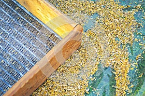 Sifting grain background