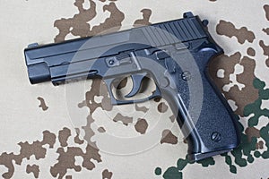 Sig sauer hand gun