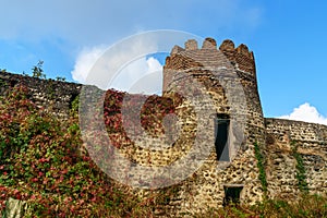 Sighnaghi city wall Georgia