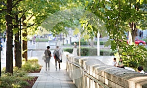 Sight of park walkway