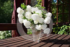 Sightly white flowers of viburnum on wooden table