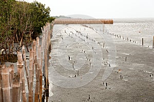 Sightseeing at Bang Pu seaside in Samut Prakarn, Thailand