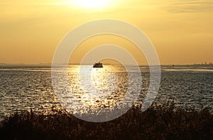 Sightseeing boat in sunset over the Barther Bodden, Germany