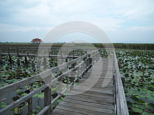 Sightseeing bridge for water attraction.