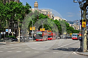 Sightseeing bus tour in barcelona