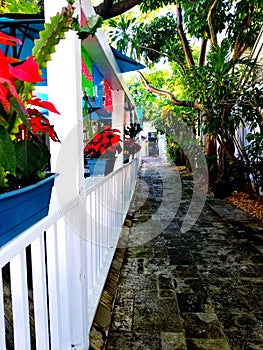 Beautiful colors in Keywest photo