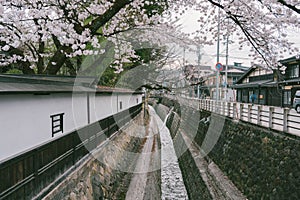 Sightseeing on Kajibashi bridge near Miyagawa Morning Market in Takayama Japan