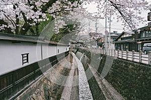 Sightseeing on Kajibashi bridge near Miyagawa Morning Market in Takayama Japan