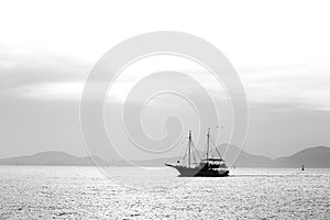 A sightseeing sail boat sailing in Santos Bay