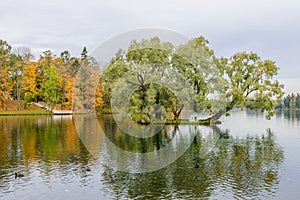 Picturesque Park in autumn in Gatchina town