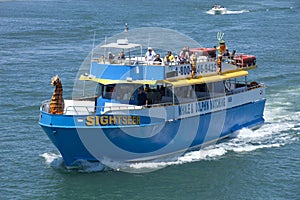 Sightseer whale watch charter in Wildwood, New Jersey.