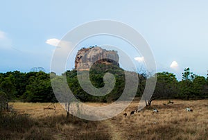 Sigiriya Lionâ€™s Rock Rock Fortress