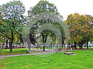 Sigmund-Freud-Park, Wien Landscaped area with a grassy lawn and shade trees - Vienna, Austria