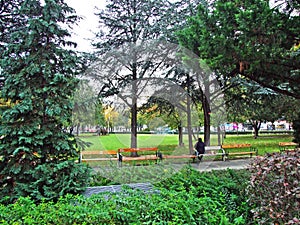Sigmund-Freud-Park, Wien Landscaped area with a grassy lawn and shade trees - Vienna, Austria
