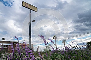 Sign for an abandoned gas station along California Route 111 highway in the Salton Sea. Purple desert lupines wildflowers in