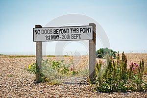 Sign on the beach saying `No dogs beyond this point 1st May - 30th Sept`. Aldeburgh, Suffolk. UK