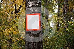 A sign for announcements hangs on a large tree in the forest