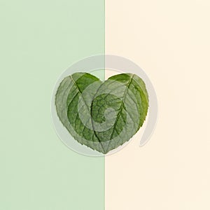 Sign as green heart shaped leaf Love nature concept. Theme of ecology, environment, natural and healthy life.