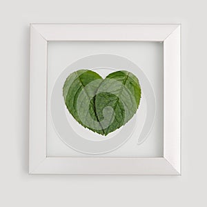 Sign as green heart shaped leaf Love nature concept. Theme of ecology, environment, natural and healthy life.