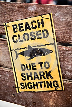 Sign Beach closed due to shark sighting