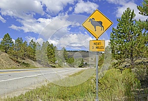 Sign for Bighorn sheep Rocky Mountains, Colorado