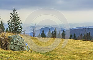 The sign of the blue tourist trail in Gorce (Poland)