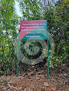 A sign board fixed inside the forest