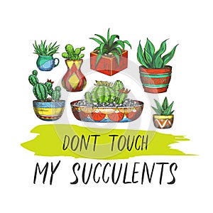 Sign with cactus or banner with succulent plants