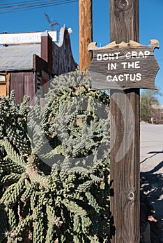 Sign by the cactus, Oatman, Arizona