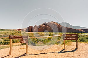 Sign for Cafayate surrounded by dead, dried cactus near Cafayate, Salta, Argentina