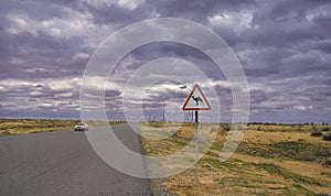 The sign of a camel. On the edge of the road crossing the Karakum desert in Turkmenistan