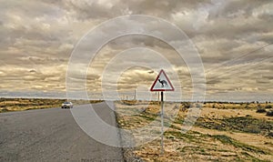 The sign of a camel. On the edge of the road crossing the Karakum desert in Turkmenistan