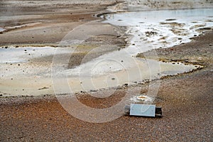 Sign for Constant Geyser, a geothermal feature in the Norris Geyser Basin in Yellowstone National Park