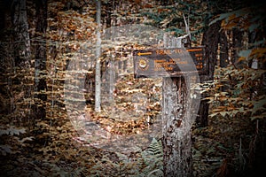 Sign Directs Forest Hikers