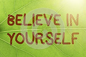 Sign displaying Believe In Yourself. Business showcase common piece of advice that you can do everything Nature Theme