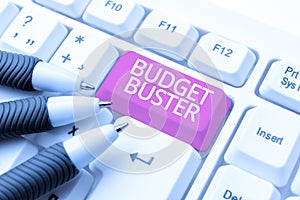 Sign displaying Budget Buster. Internet Concept Carefree Spending Bargains Unnecessary Purchases Overspending -48665