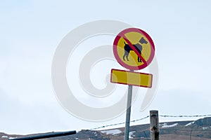 Sign dog not allowed. Prohibition sign dogs or dogs forbidden o