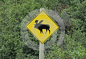 Sign elk crossing