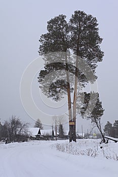 A sign at the entrance to the village of Skaz