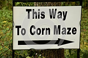 A Sign Directs you to a Corn Maze photo