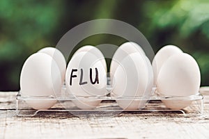 Sign FLU on the egg. The concept of disease. Avian influenza, salmanese